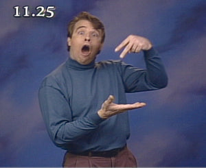 Bravo ASL! Partial Curriculum- Instructor Materials & Student Workbook